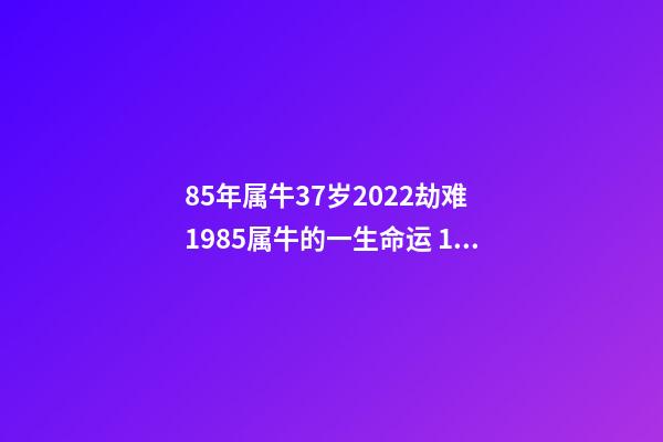 85年属牛37岁2022劫难 1985属牛的一生命运 1985属牛37岁运气